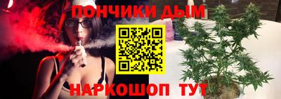 хмурый Бийск
