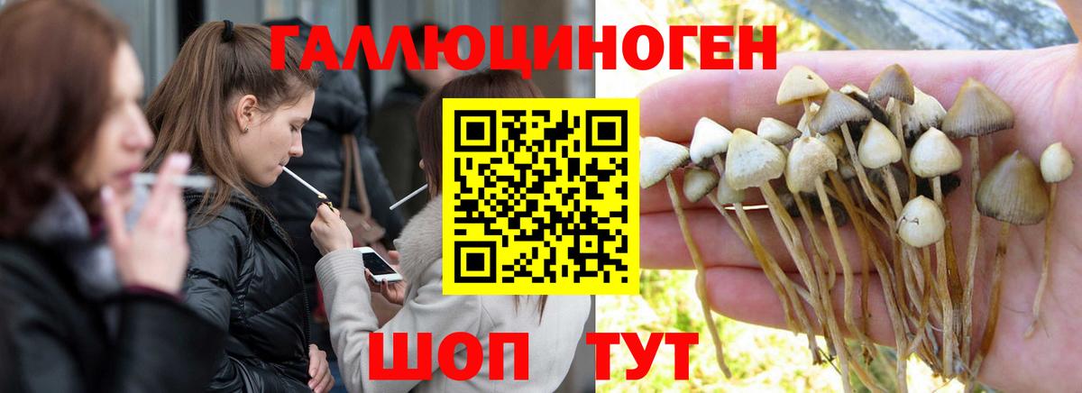 Галлюциногенные грибы мухоморы  Галлюциногенные грибы Psilocybe  где купить   Вход с VPN  Карталы 