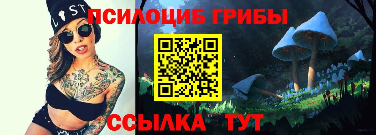 Псилоцибиновые грибы мицелий Карталы